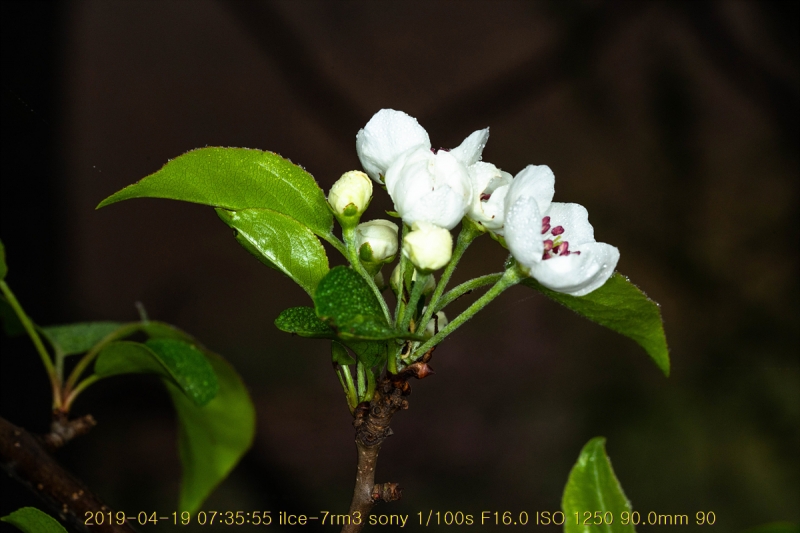 ag-20190419-10