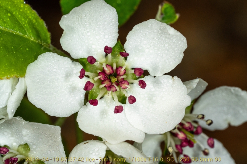 ag-20190419-11
