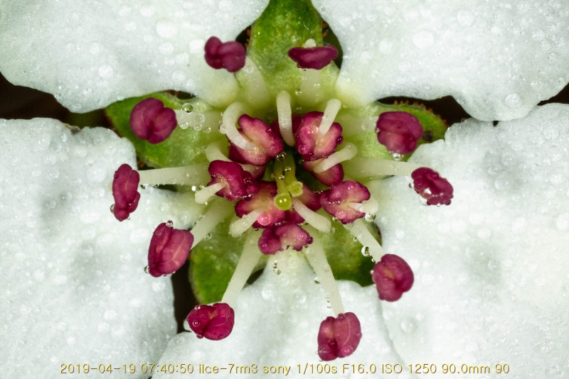 ag-20190419-12