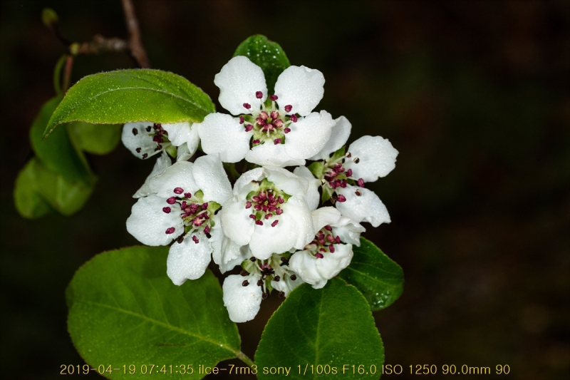 ag-20190419-13
