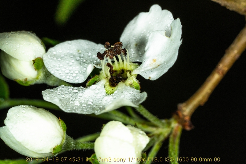 ag-20190419-15