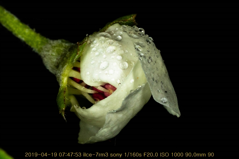 ag-20190419-18