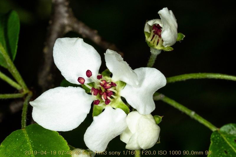 ag-20190419-19