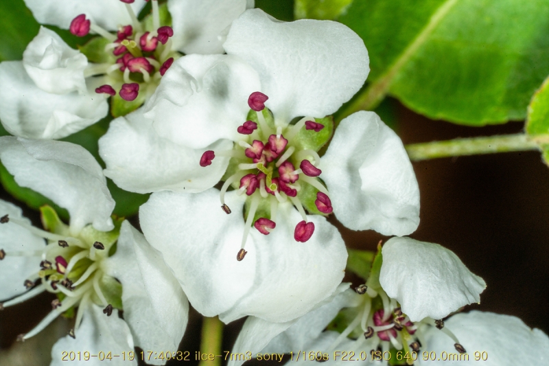 ag-20190419-22