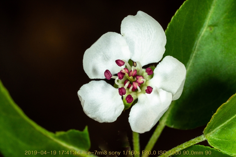 ag-20190419-24