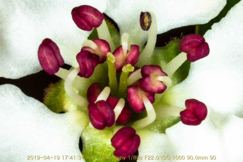 ag-20190419-25
