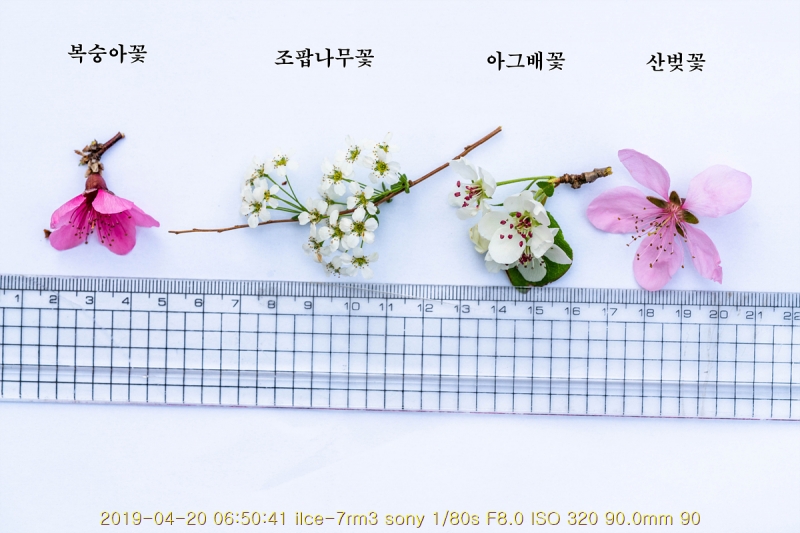 ag-20190420-01