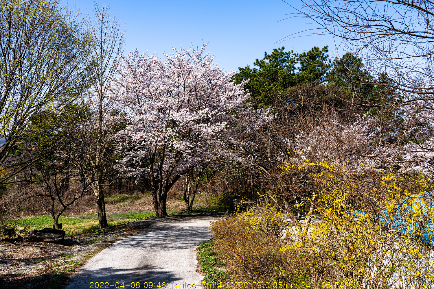 변산반도