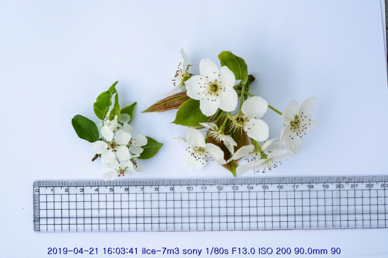 bae-20190421-09