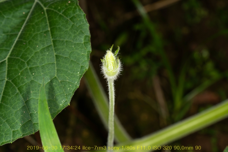 bak-20190630-03