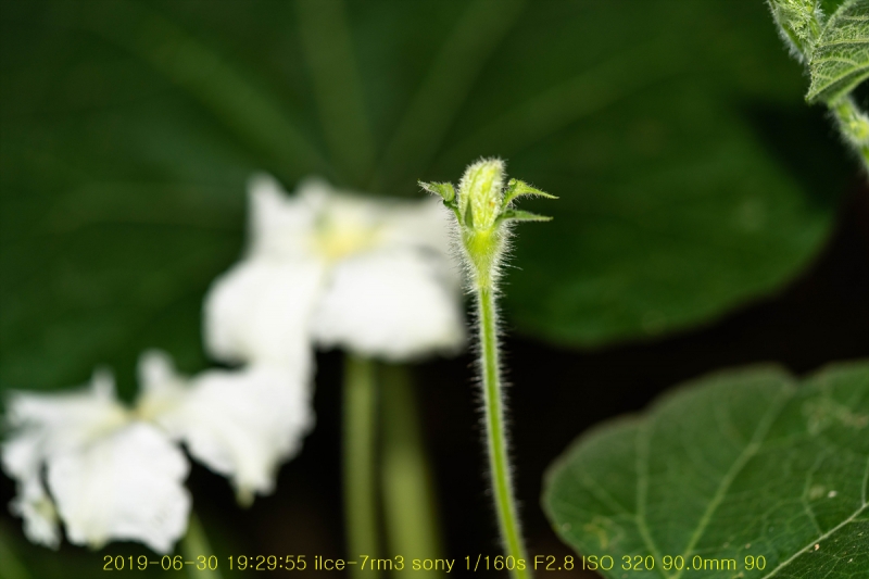 bak-20190630-09