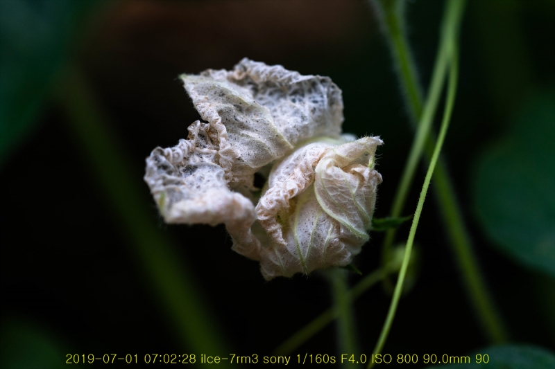 bak-20190701-01