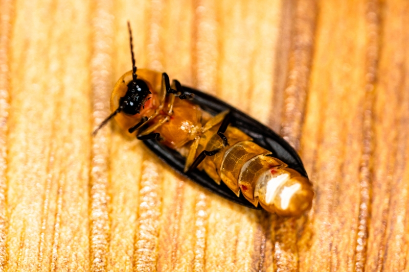 ban20190924-03