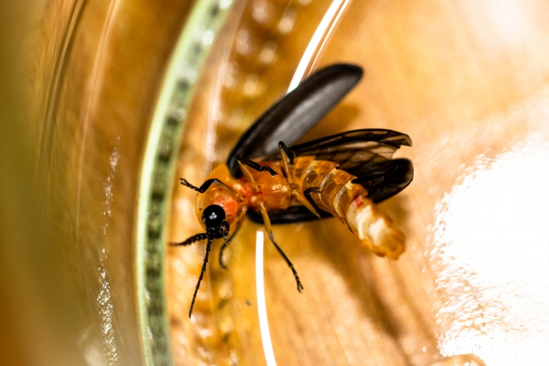 ban20190924-04