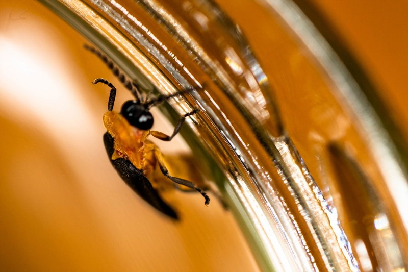 ban20190924-05