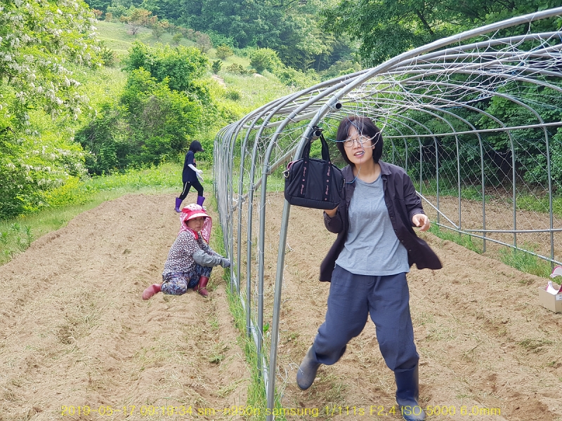 bat-20190805-01