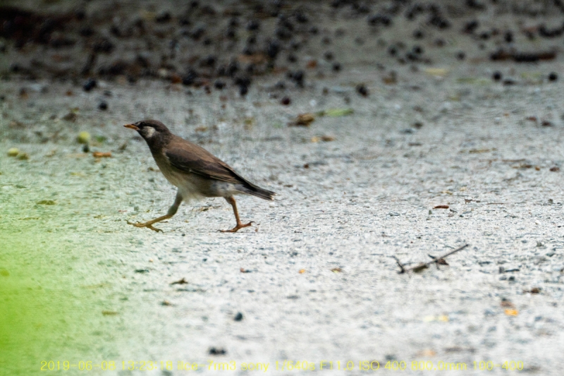 be-20190610-06