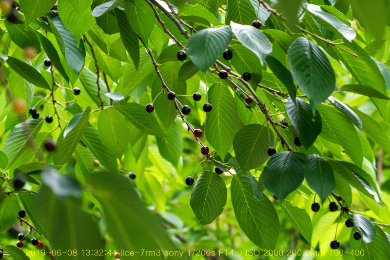 be-20190610-23