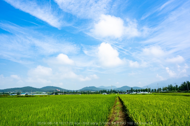 beo-20190820-07