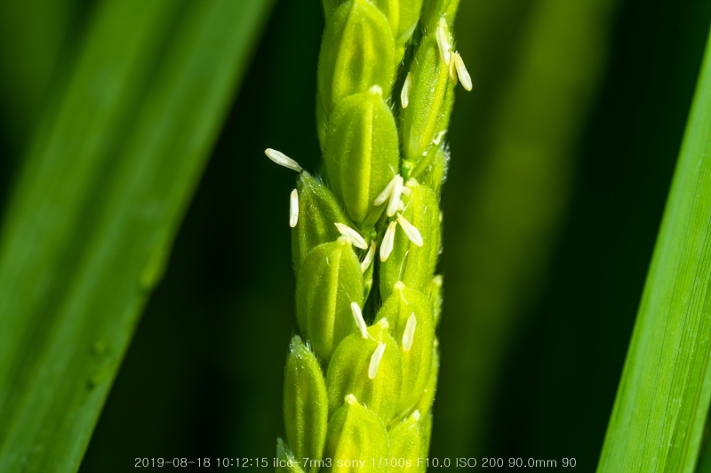 beoe-20190820-05
