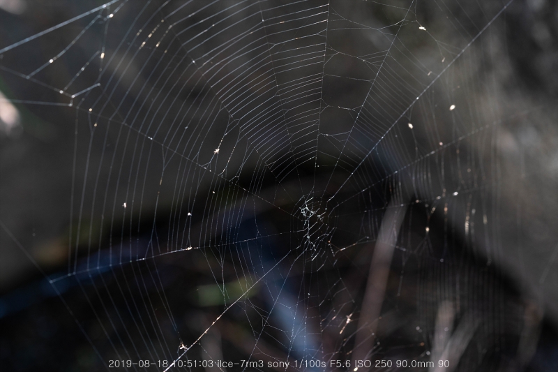 beoe-20190820-11