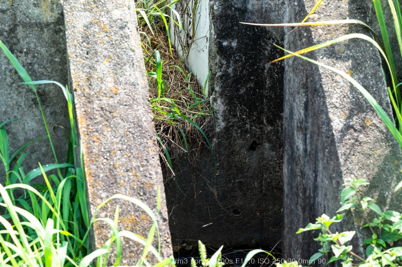 beoe-20190820-12