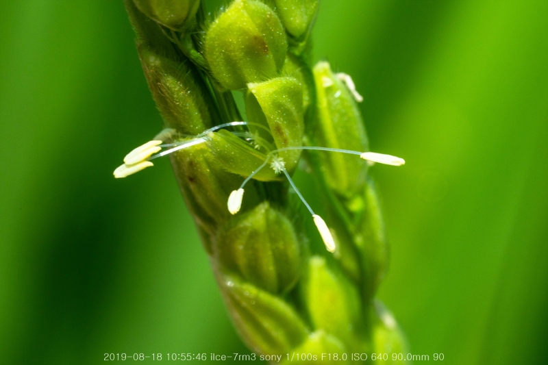 beoe-20190820-15