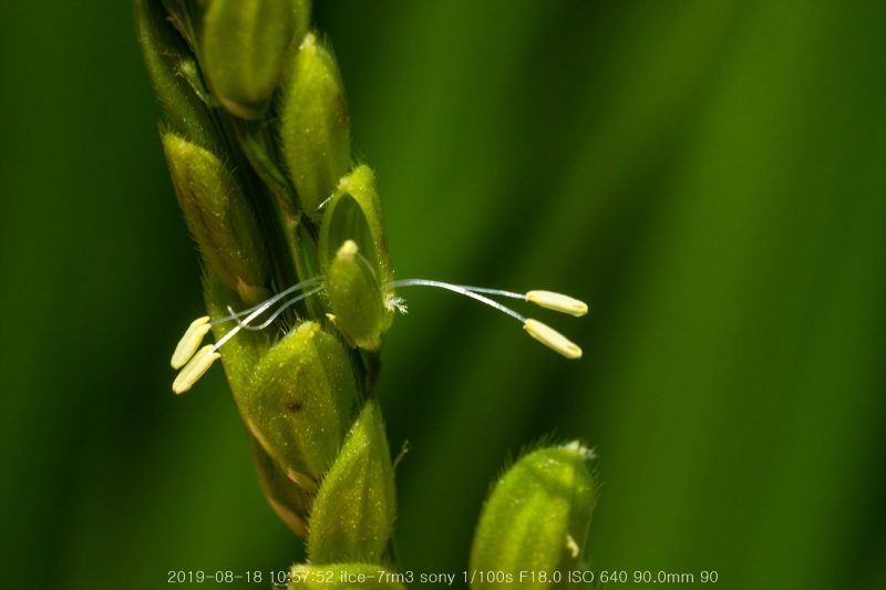 beoe-20190820-18