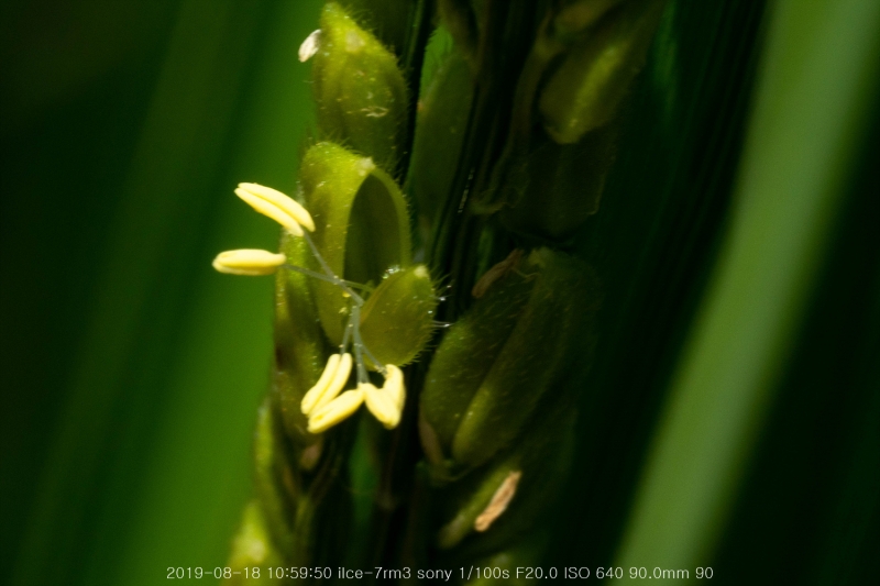beoe-20190820-19