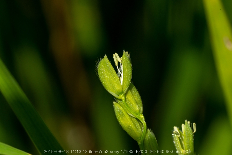 beoe-20190820-28