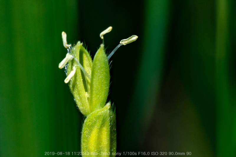 beoe-20190820-37