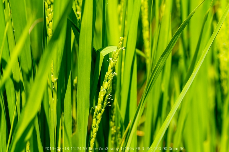 beoe-20190820-38