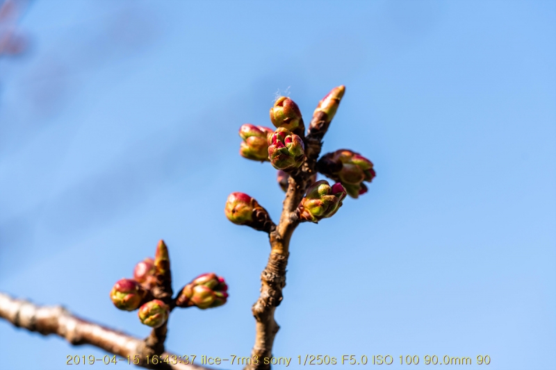 beuk-20190416-05