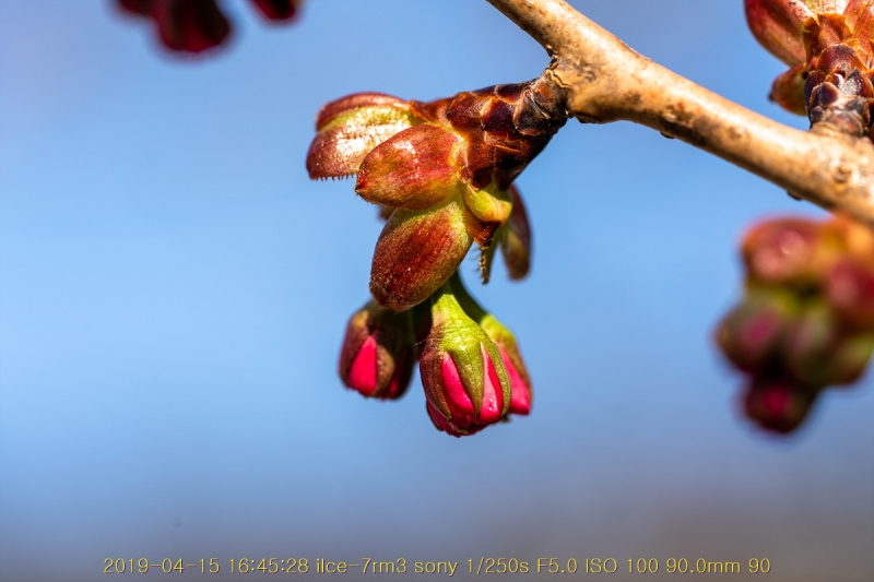 beuk-20190416-09