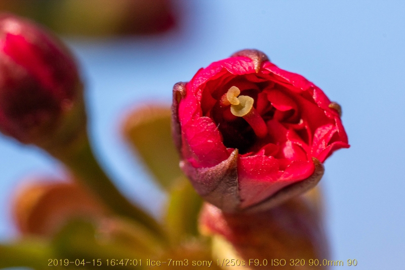 beuk-20190416-12