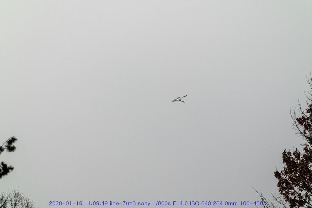 bi20200122-57