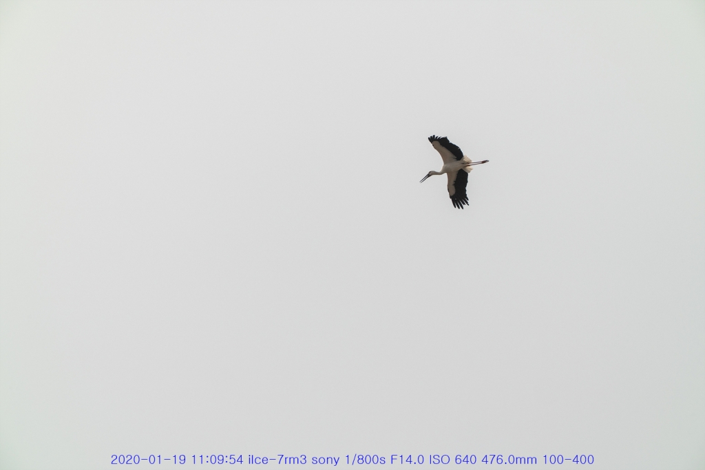 bi20200122-58