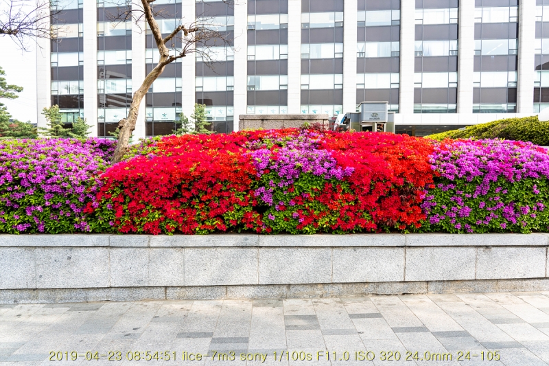 chang-20190430-05