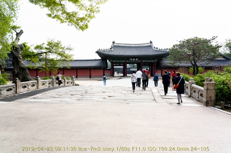 chang-20190430-33