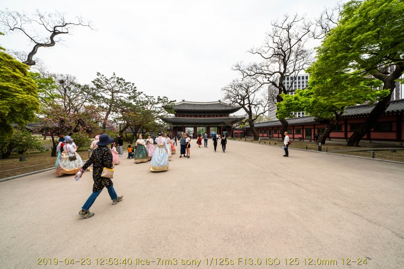 chang-20190504-02