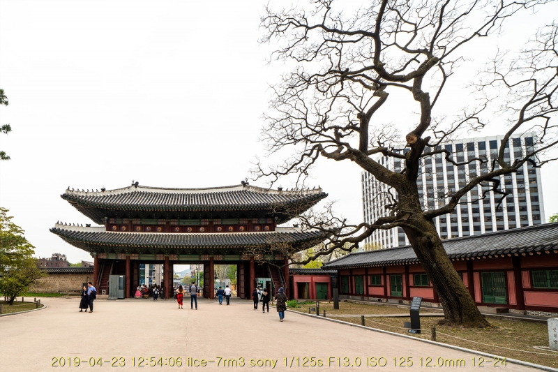 chang-20190504-03