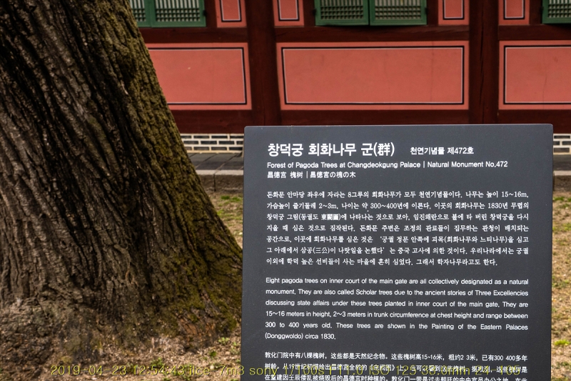 chang-20190504-05