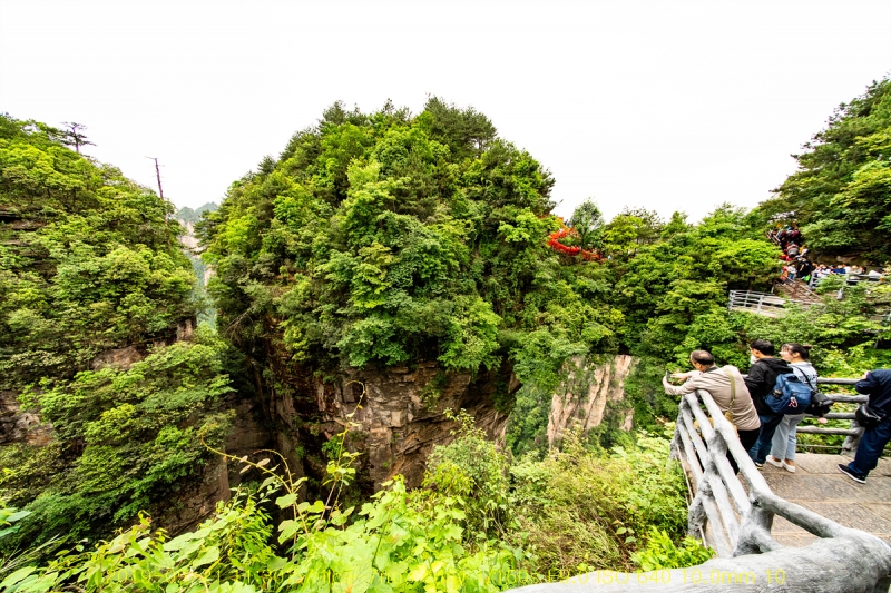 chen-20190609-38
