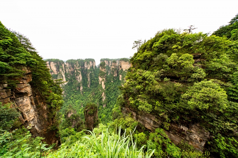 chen-20190609-48