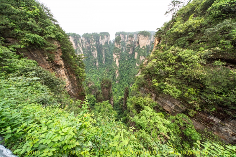 chen-20190609-49