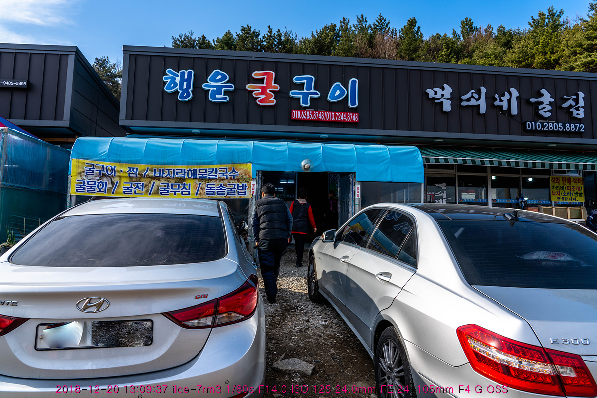 겨울은 굴의 계절