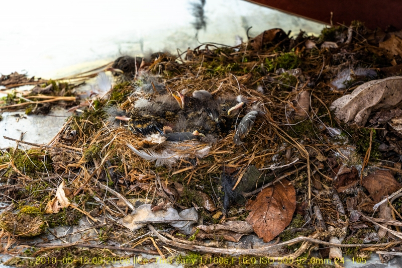 daak-20190516-05