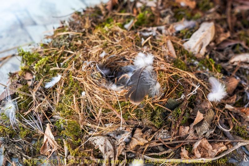daak-20190516-18