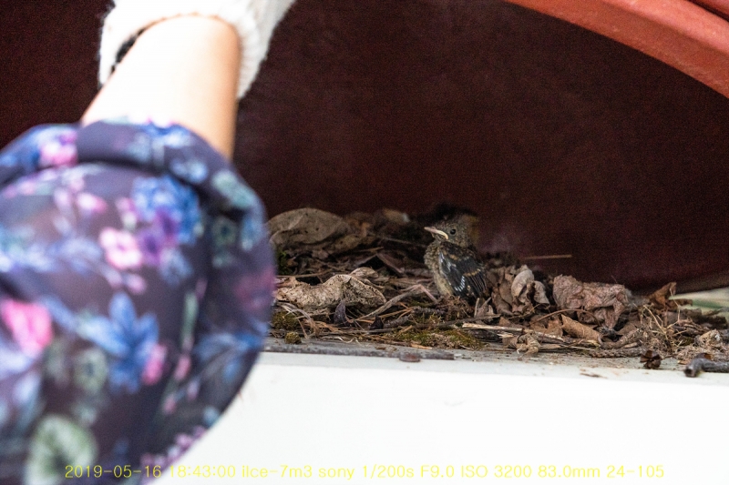 daak-20190517-12