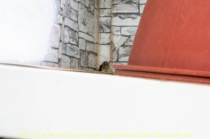 daak-20190517-16